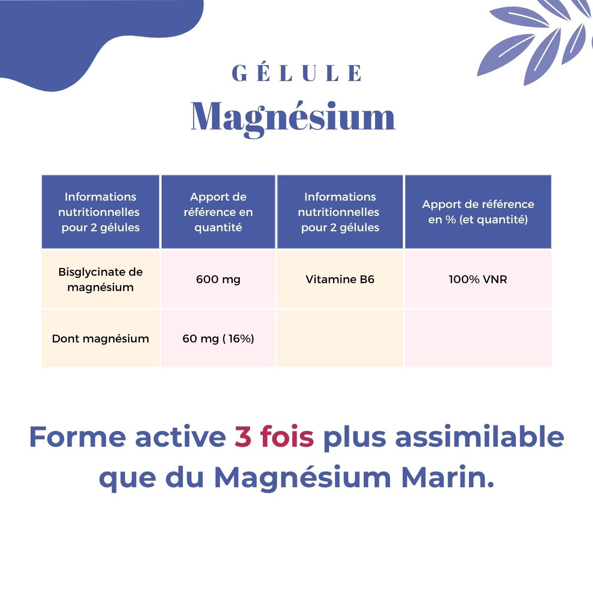 Gélules Magnésium