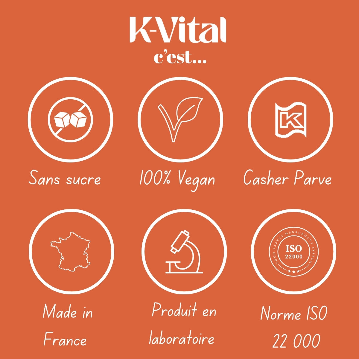 Gummies Multivitaminés Adulte Cachers